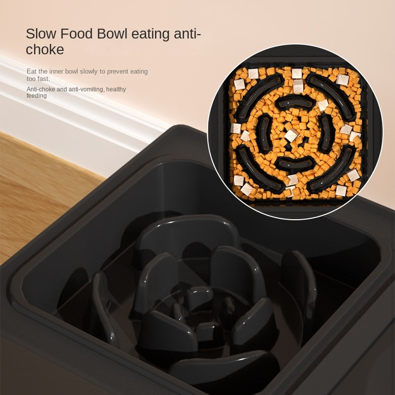 Elevated  Dog Bowls – Healthy Eating, Happy Pets!