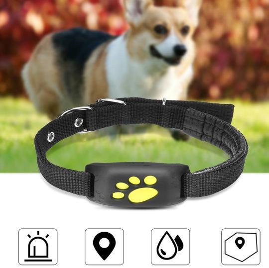 Because They’re Family – GPS Tracker for Beloved Pets
