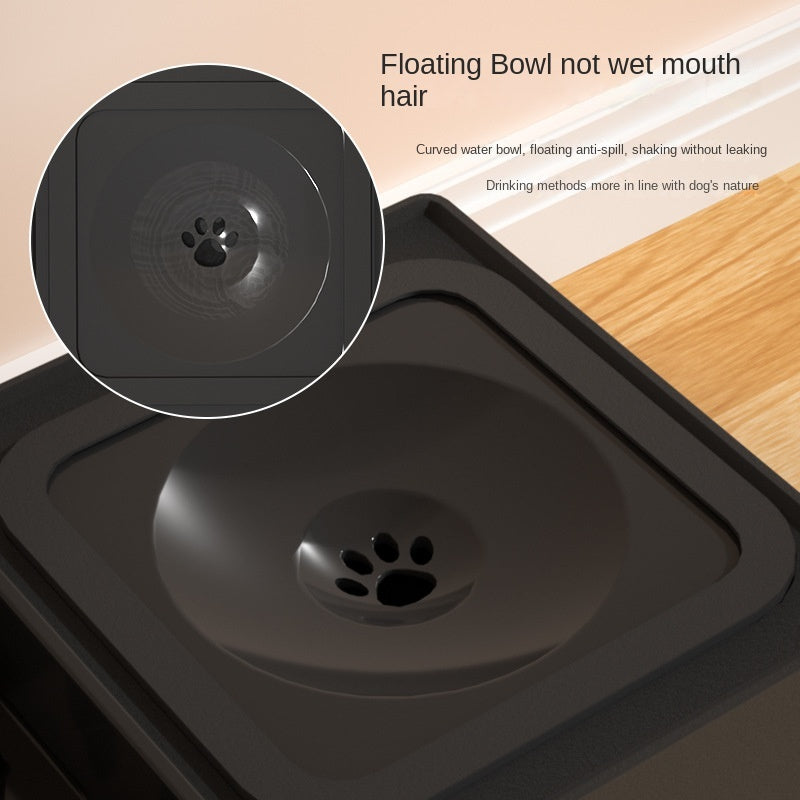 Elevated  Dog Bowls – Healthy Eating, Happy Pets!