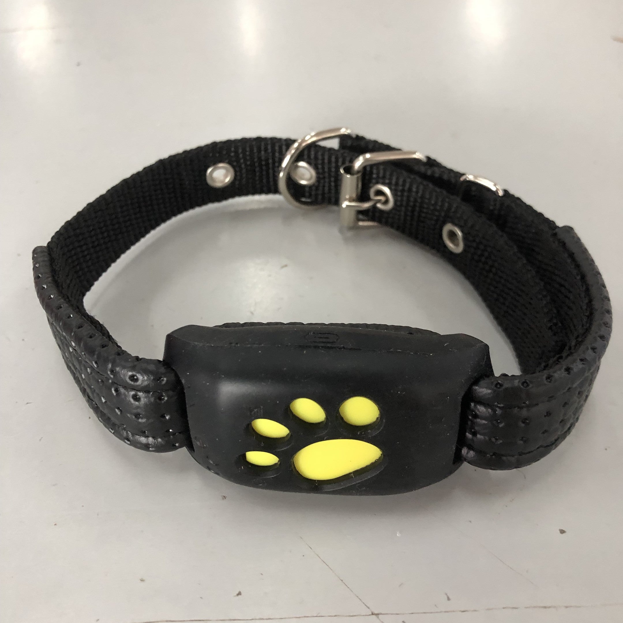 Because They’re Family – GPS Tracker for Beloved Pets