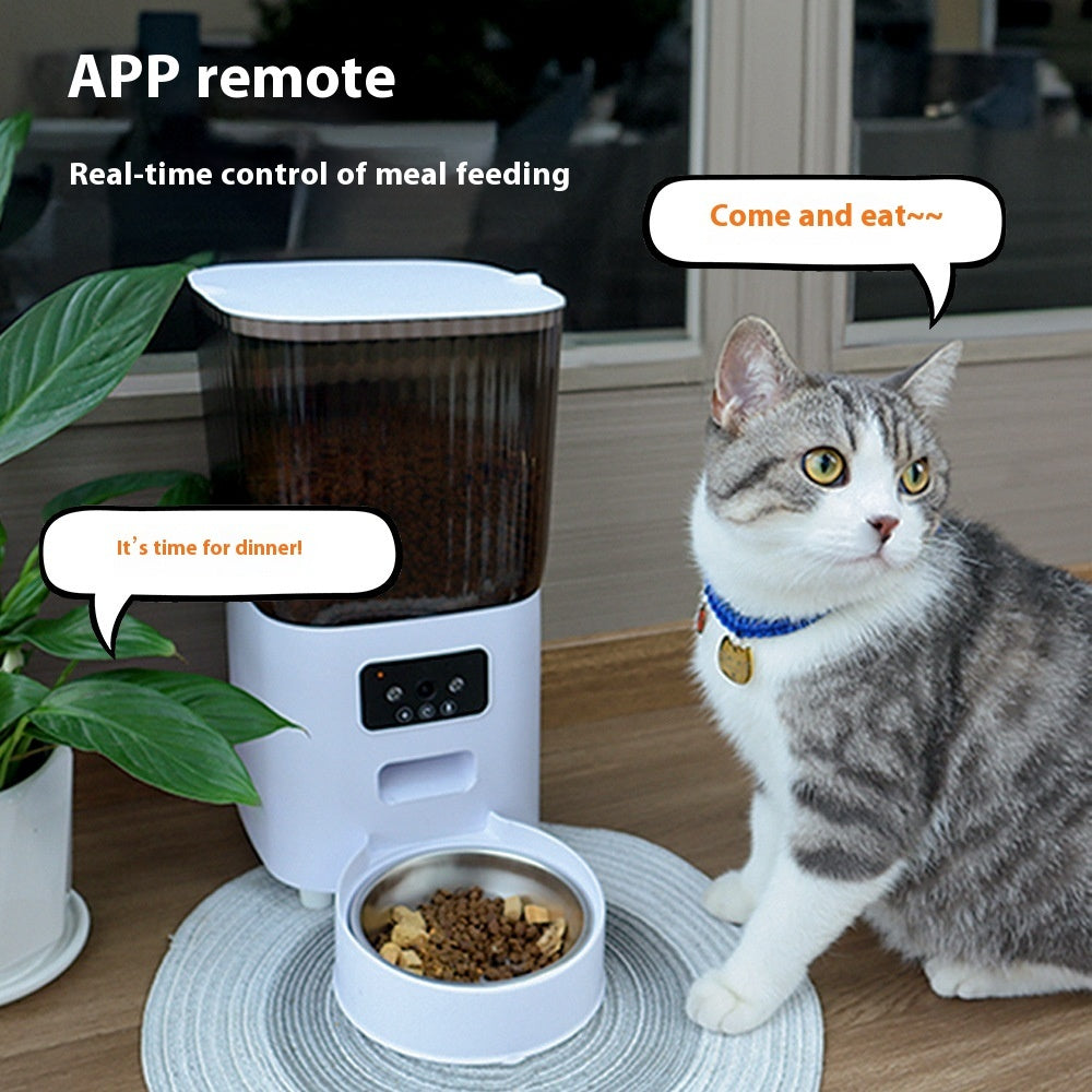 Feed Your Pet on Time – 5L Auto Feeder Magic!