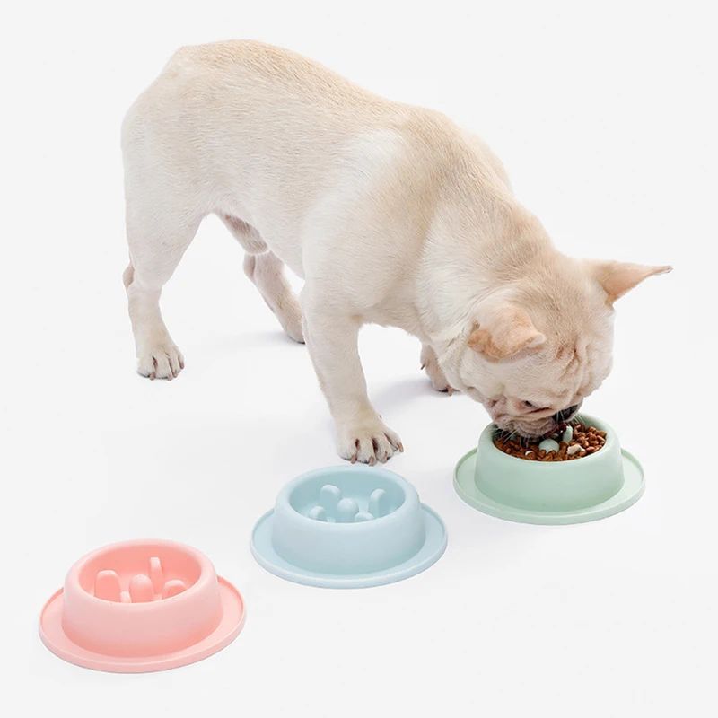 Happy Tummy Bowl – Slow & Fun Mealtimes for Pups!