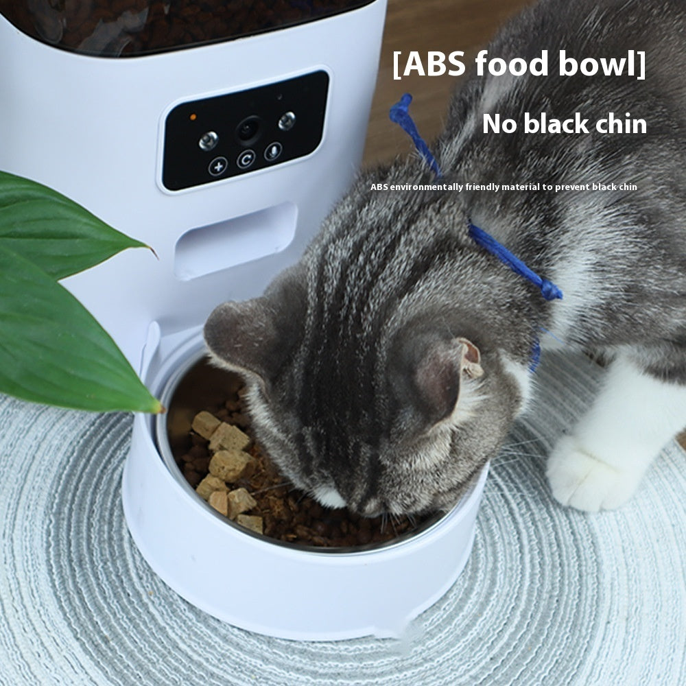 Feed Your Pet on Time – 5L Auto Feeder Magic!